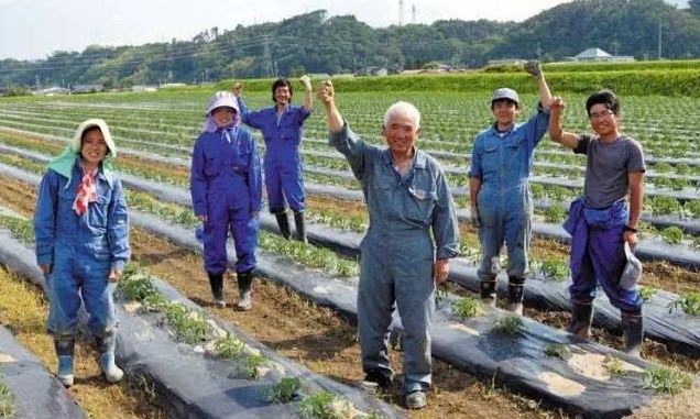 日本勞務派遣農業(yè)類、食品加工、建筑業(yè)、電子業(yè)招聘